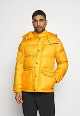 Jaka vīriešiem The North Face Nf0a4qzi, dzeltena цена и информация | Мужские куртки | 220.lv