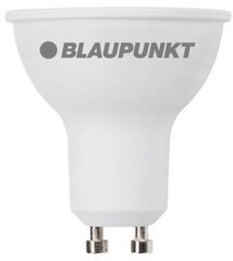 Komplektā 5 produkti. Blaupunkt LED lampa GU10 500lm 5W 2700K cena un informācija | Blaupunkt Apgaismojums un elektropreces | 220.lv