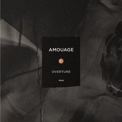 Parfimēts ūdens Amouage Overture Man EDP, 100 ml cena un informācija | Vīriešu smaržas | 220.lv