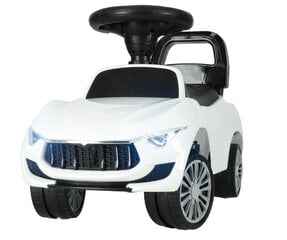 RoGer Детский Электрический Автомобиль цена и информация | Игрушки для малышей | 220.lv