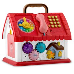 Izglītojoša rotaļlietu mājiņa ar aksesuāriem Ricokids cena un informācija | Rotaļlietas zīdaiņiem | 220.lv