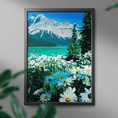 Glezna pēc cipariem Oh Art, Margrietiņas un kalni, 40x50 cm цена и информация | Живопись по номерам | 220.lv