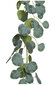 Mākslīgais augs Eikalipts цена и информация | Mākslīgie ziedi | 220.lv
