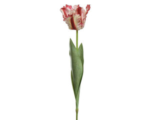 Mākslīgais zieds Tulpe cena un informācija | Mākslīgie ziedi | 220.lv