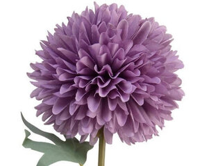 Mākslīgais zieds Dekoratīvie ķiploki cena un informācija | Mākslīgie ziedi | 220.lv