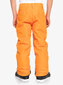 Slēpošanas bikses zēniem Quiksilver EQBTP03030 NMD0, oranžas cena un informācija | Ziemas apģērbs bērniem | 220.lv