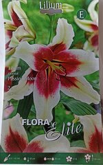 Lilijas Passion Moon, Flora Elite цена и информация | Луковичные цветы | 220.lv