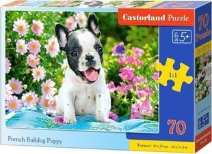 Castorland Puzzle 70 French bulldog puppy CASTOR цена и информация | Пазлы | 220.lv