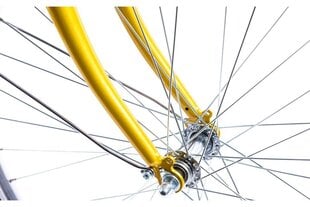 PEGAS STRADA 2 26'' ALUMINIU AURIU VERDE цена и информация | Велосипеды | 220.lv