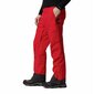 Slēpošanas bikses vīriešiem Columbia WO0979-613, sarkanas cena un informācija | Vīriešu slēpošanas apģērbs | 220.lv