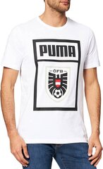 Puma T-krekls vīriešiem 757343 02, balts цена и информация | Мужские футболки | 220.lv