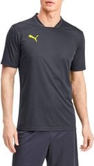 Puma T-krekls vīriešiem 656423 02, melns цена и информация | Мужская спортивная одежда | 220.lv