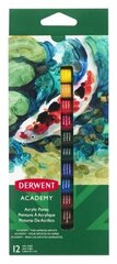 Akrila krāsa Academy Derwent, 12ml, 12gab cena un informācija | Modelēšanas un zīmēšanas piederumi | 220.lv