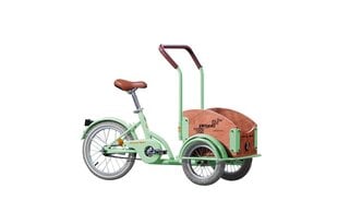 Bērnu velosipēds Cargo 16", zaļš cena un informācija | Velosipēdi | 220.lv