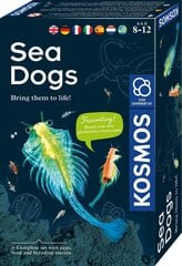 Radošais komplekts Sea Dogs 8 g.+ cena un informācija | Attīstošās rotaļlietas | 220.lv