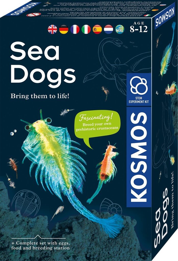 Radošais komplekts Sea Dogs 8 g.+ цена и информация | Attīstošās rotaļlietas | 220.lv