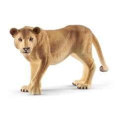 Figūriņa savvaļas lauva Schleich cena un informācija | Rotaļlietas zēniem | 220.lv