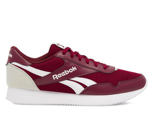 Brīvā laika apavi vīriešiem Reebok Jogger Lite 100074148, sarkani cena un informācija | Sporta apavi vīriešiem | 220.lv