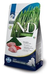 Farmina N&D Spirulina vidējām un lielām šķirnēm ar jēra gaļu, spirulīnu un godži ogām, 7 kg cena un informācija | Sausā barība suņiem | 220.lv