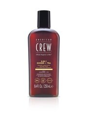 Šampūns 3in1 American Crew 3in1 Ingvers + Tēja, 250 ml cena un informācija | Šampūni | 220.lv