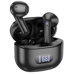 Borofone TWS Bluetooth Earphones BW53 Elegant black цена и информация | Наушники | 220.lv