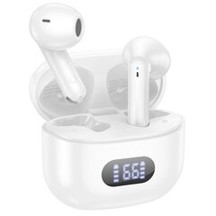 Borofone TWS Bluetooth Earphones BW53 Elegant white цена и информация | Наушники | 220.lv