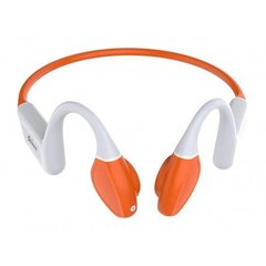 Vidonn F1S Orange цена и информация | Наушники с микрофоном Asus H1 Wireless Чёрный | 220.lv