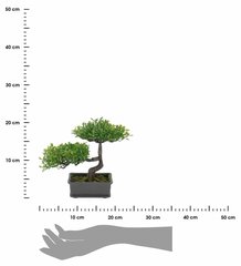 Mākslīgais bonsai koks, 23 cm cena un informācija | Mākslīgie ziedi | 220.lv