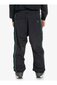 Slēpošanas bikses vīriešiem Quiksilver EQYTP03189 KVJ0, melnas cena un informācija | Vīriešu slēpošanas apģērbs | 220.lv