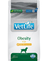 Farmina VetLife Obesity Fish visu šķirņu suņiem ar zivīm, 2 kg cena un informācija | Sausā barība suņiem | 220.lv
