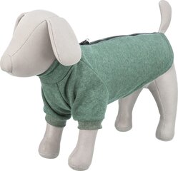 Одежда для собак CityStyle Amsterdam sweatshirt, XS: 27 cm, цвет темно-зеленый цена и информация | Одежда для собак | 220.lv