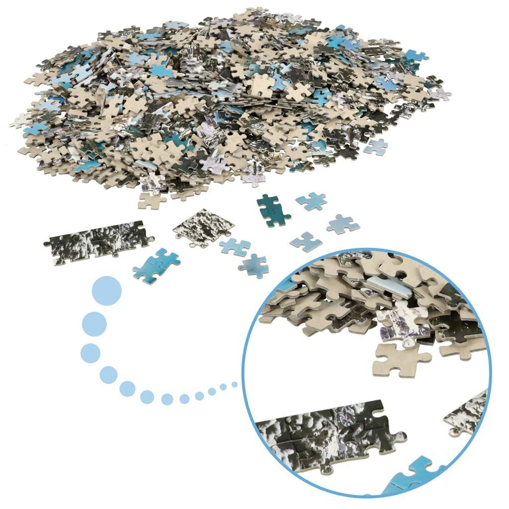 Puzle Castorland, 1000 gab. cena un informācija | Puzles, 3D puzles | 220.lv