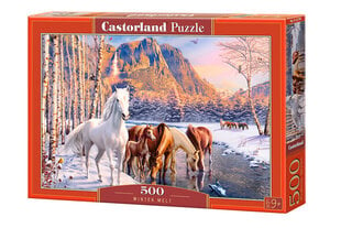 Puzle Castorland, 500 gab. cena un informācija | Puzles, 3D puzles | 220.lv