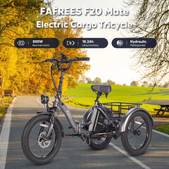 Электровелосипед Fafrees F20 Mate, 20", черный, 500Вт, 18,2Ач цена и информация | Электровелосипеды | 220.lv