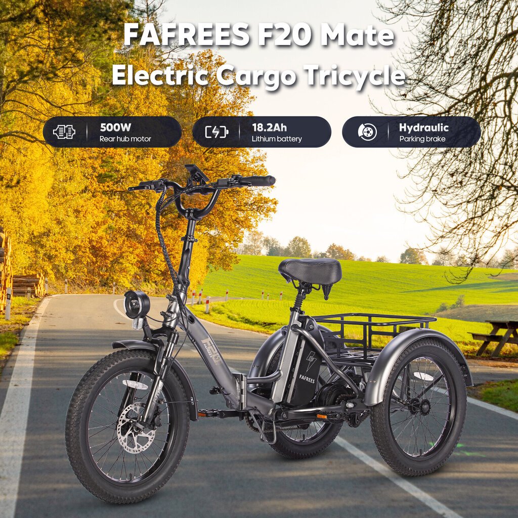 Elektriskais velosipēds Fafrees F20 Mate, 20", melns цена и информация | Elektrovelosipēdi | 220.lv