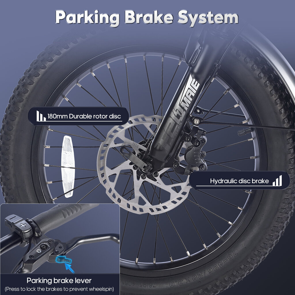 Elektriskais velosipēds Fafrees F20 Mate, 20", melns цена и информация | Elektrovelosipēdi | 220.lv