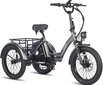 Elektriskais velosipēds Fafrees F20 Mate, 20", melns цена и информация | Elektrovelosipēdi | 220.lv