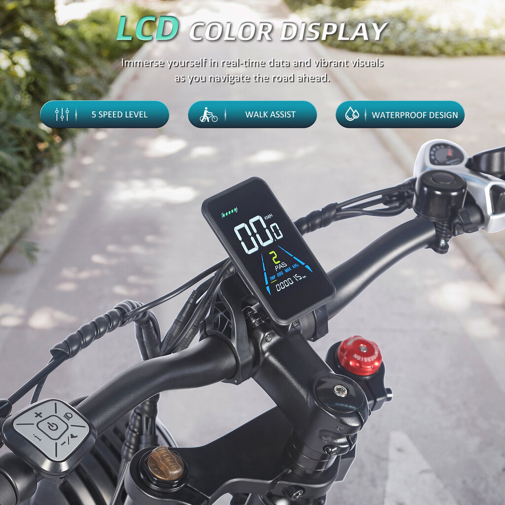Elektriskais velosipēds FAFREES F20 Ultra, 20", zaļš, 750W, 25Ah LG cena un informācija | Elektrovelosipēdi | 220.lv