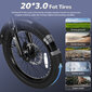 Elektriskais velosipēds Fafrees F20 Mate, 20", zils cena un informācija | Elektrovelosipēdi | 220.lv