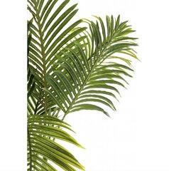 Mākslīgā palma, 115 cm cena un informācija | Mākslīgie ziedi | 220.lv