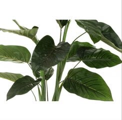 Искусственное растение стрелиция в горшке, зеленое, 120 см. цена и информация | Искусственный букет DKD Home Decor, 2 шт | 220.lv