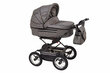 Universālie ratiņi Fanari Baby Fashion 2in1, Grey цена и информация | Bērnu rati | 220.lv