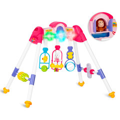 Interaktīva rotaļlieta mazuļiem цена и информация | Игрушки для малышей | 220.lv