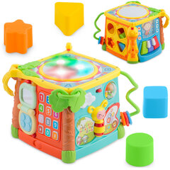 Развивающая игрушка Кубик цена и информация | Игрушки для малышей | 220.lv