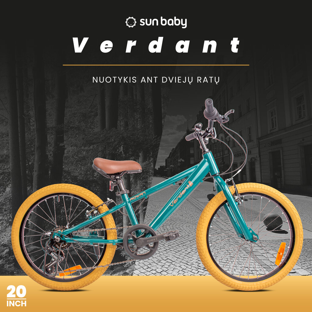 Velosipēds zēniem MTB Shimano 20", zaļš cena un informācija | Velosipēdi | 220.lv