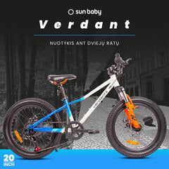 Велосипед 20 дюймов для мальчика легкий MTB Shimano 6 передач Verdant Calix цена и информация | Велосипеды | 220.lv