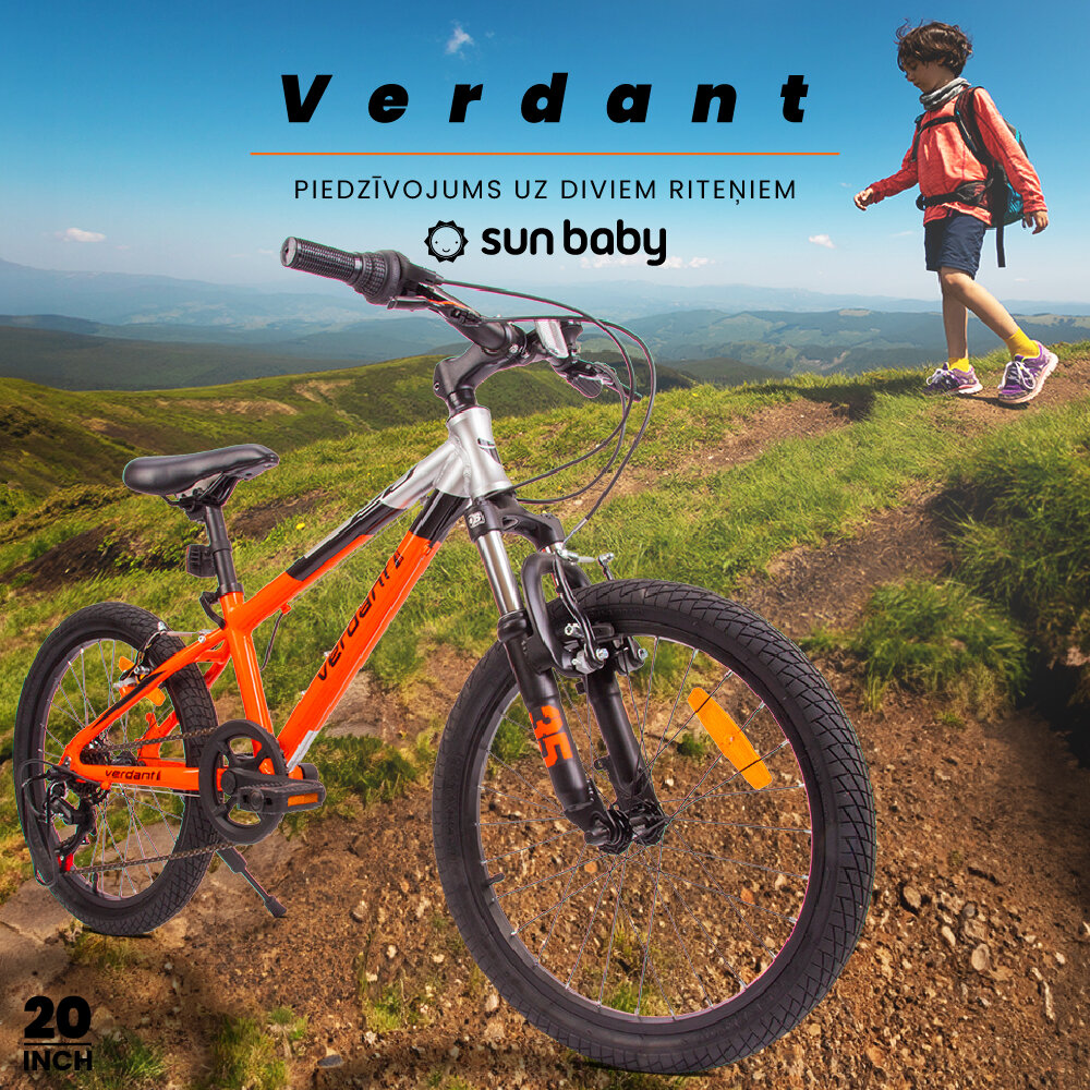 Velosipēds zēniem MTB Shimano 20", oranžs cena un informācija | Velosipēdi | 220.lv