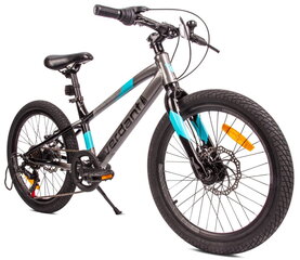 Velosipēds zēniem MTB Shimano 20", melns цена и информация | Велосипеды | 220.lv