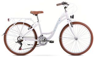 Велосипед детский ROMET Panda 1 (2024) бело-синий цена и информация | Велосипеды | 220.lv