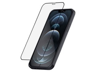 SP Glass Screen Protector iPhone 12 Pro цена и информация | Защитные пленки для телефонов | 220.lv